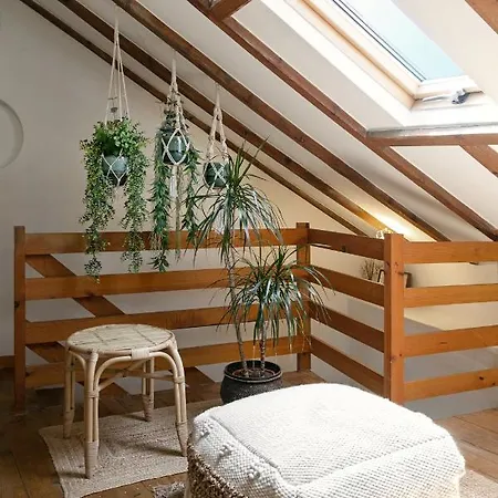 Second Semesterbostad *